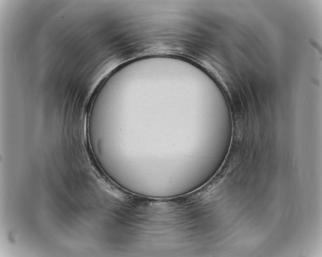 X0000097771227200803211729