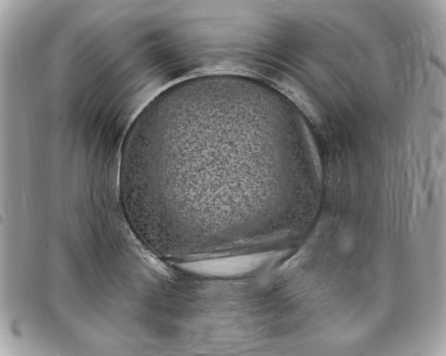 X0000097771228200803211729