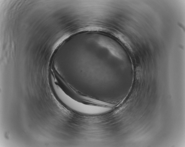 X0000097771229200803211729