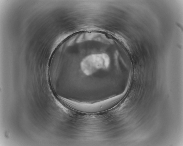 X0000097771231200803211729