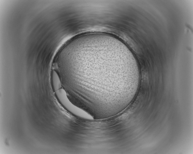 X0000097771232200803211729