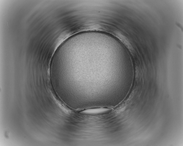 X0000097771234200803211729