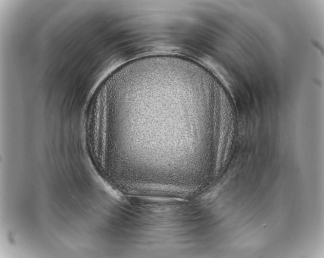 X0000097771235200803211729