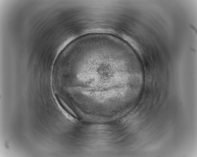 X0000097771237200803211729
