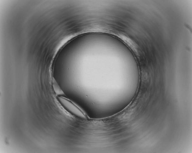 X0000097771238200803211729