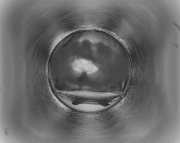X0000097771239200803211729