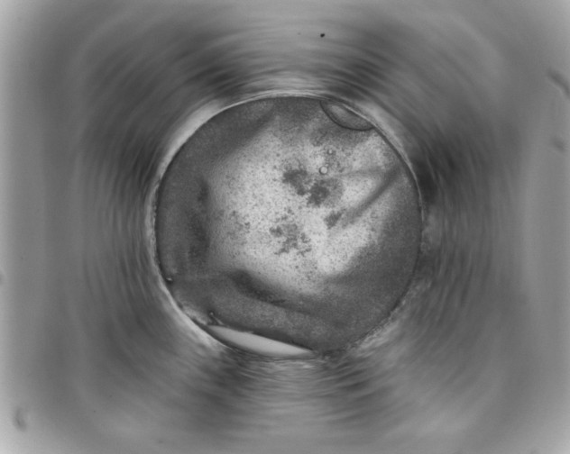 X0000097771243200803211729
