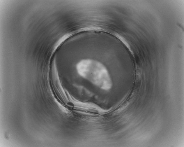 X0000097771245200803211729
