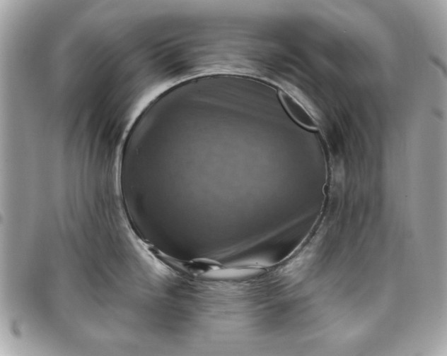 X0000097771246200803211729