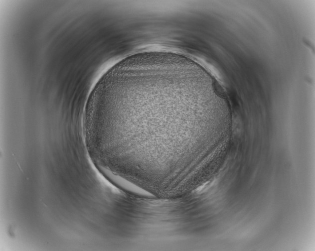 X0000097771247200803211729