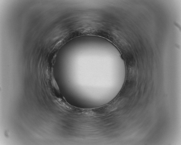 X0000097771250200803211728
