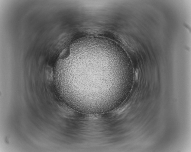X0000097771251200803211728