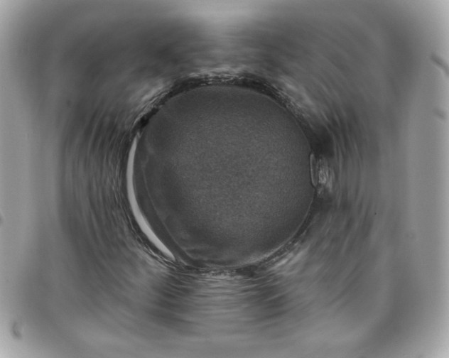 X0000097771252200803211728