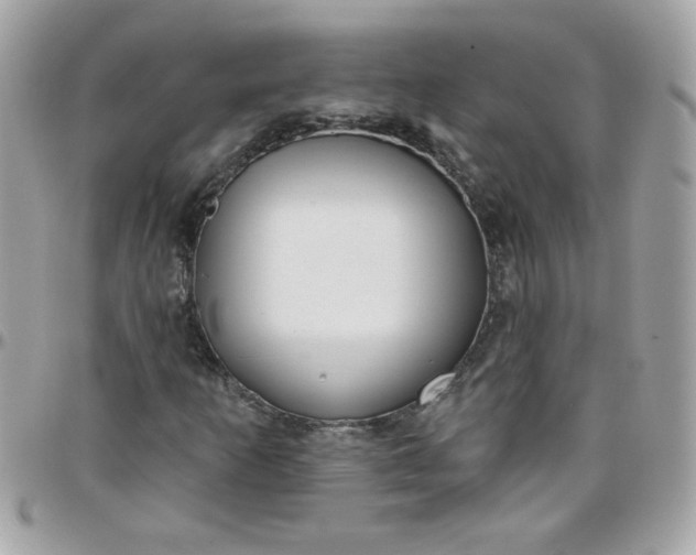 X0000097771253200803211728