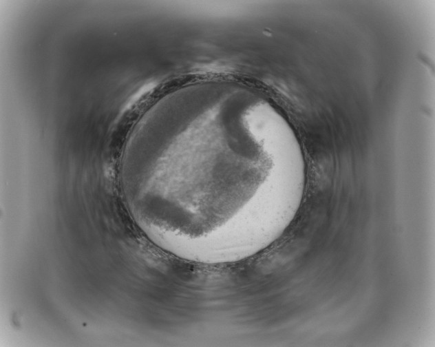 X0000097771254200803211728
