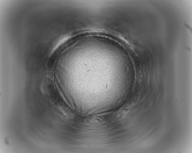 X0000097771255200803211728