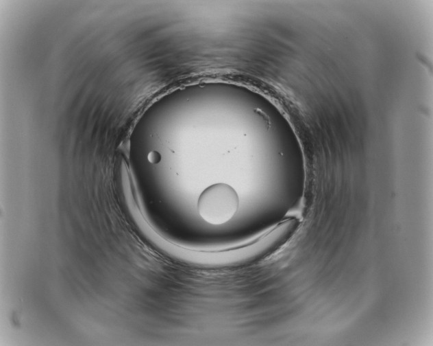 X0000097771257200803211728
