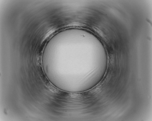 X0000097771258200803211728