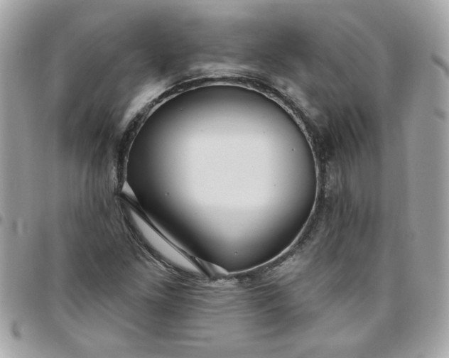 X0000097771261200803211728