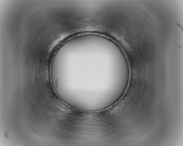 X0000097771262200803211728