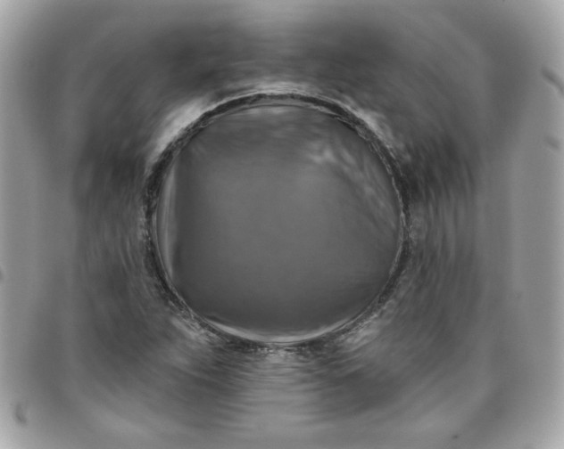 X0000097771263200803211728