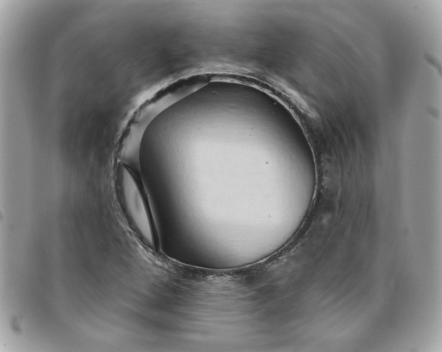 X0000097771264200803211728
