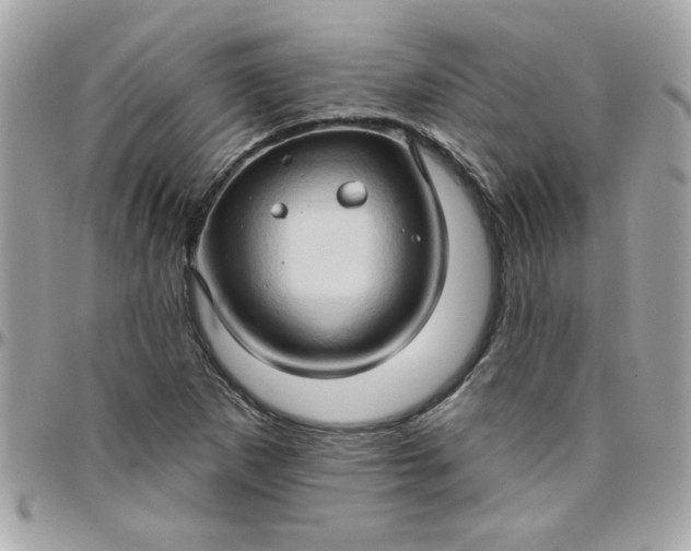 X0000097771265200803211728