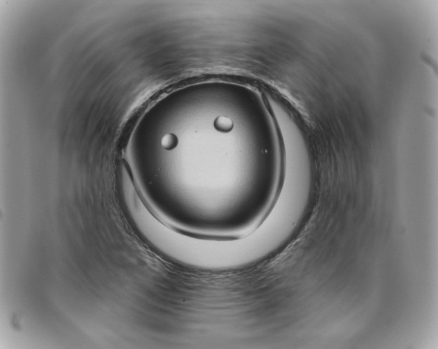 X0000097771266200803211728