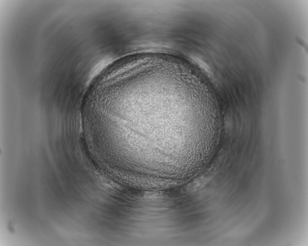 X0000097771267200803211728