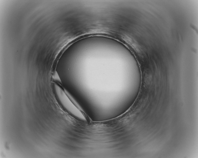X0000097771268200803211728