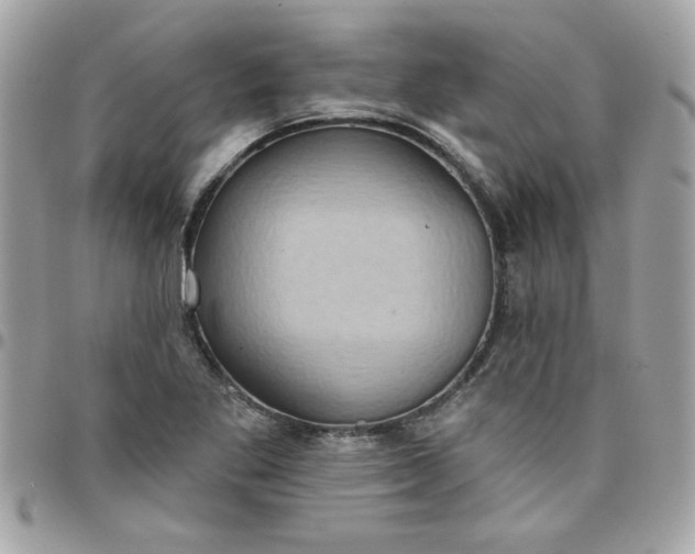 X0000097771269200803211728