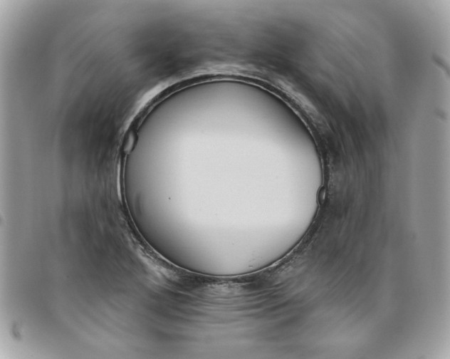 X0000097771272200803211728