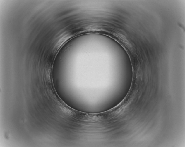 X0000097771273200803211728