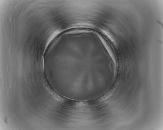 X0000097771275200803211728