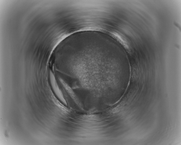 X0000097771276200803211728