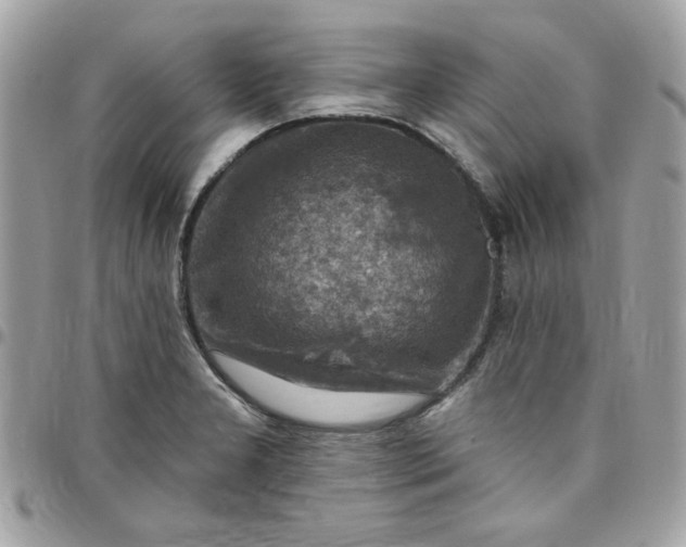 X0000097771277200803211728