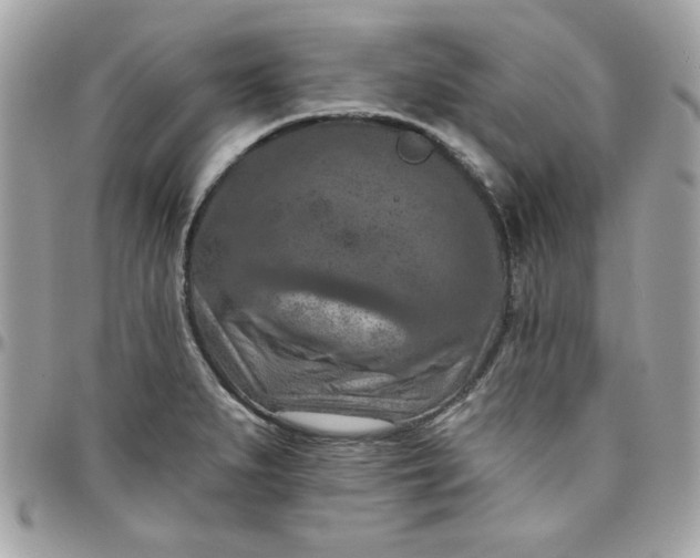 X0000097771279200803211728