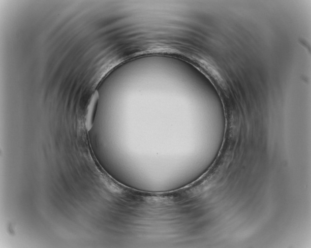 X0000097771281200803211728