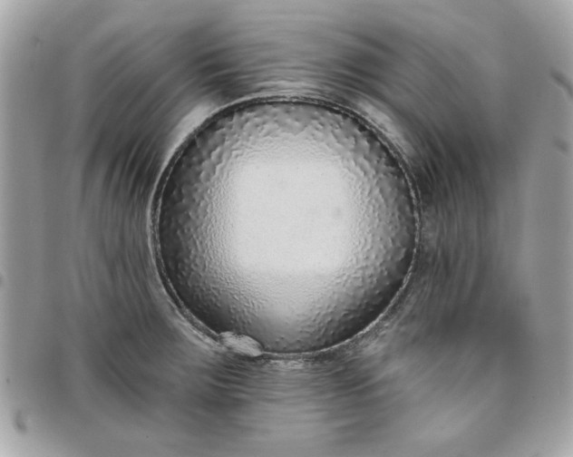 X0000097771283200803211728