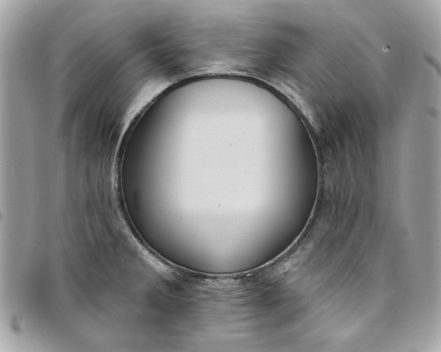 X0000097771285200803211728