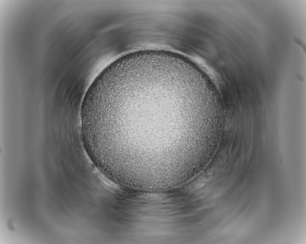 X0000097771287200803211728