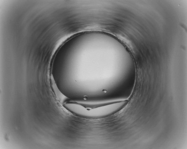 X0000097771288200803211728