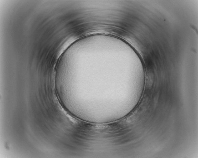 X0000097771290200803211728