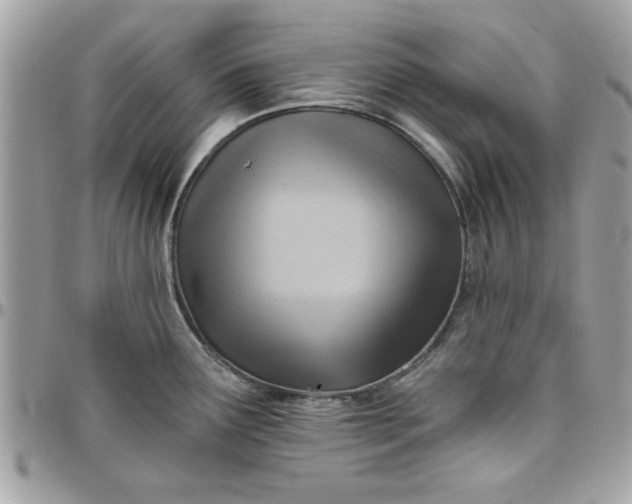 X0000097771291200803211728