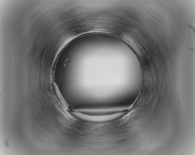 X0000097771292200803211728