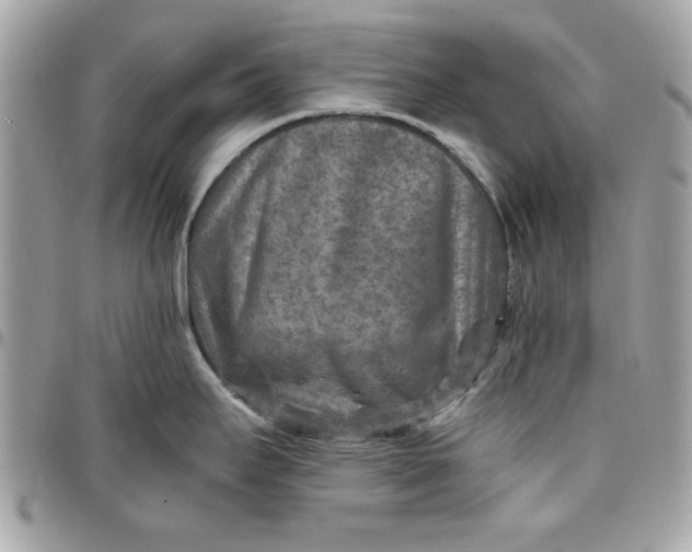 X0000097771295200803211728