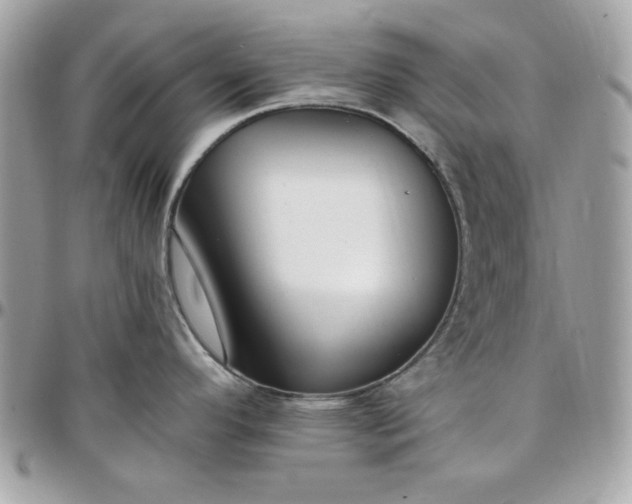 X0000097771296200803211728