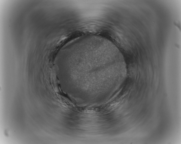 X0000097771297200803211727
