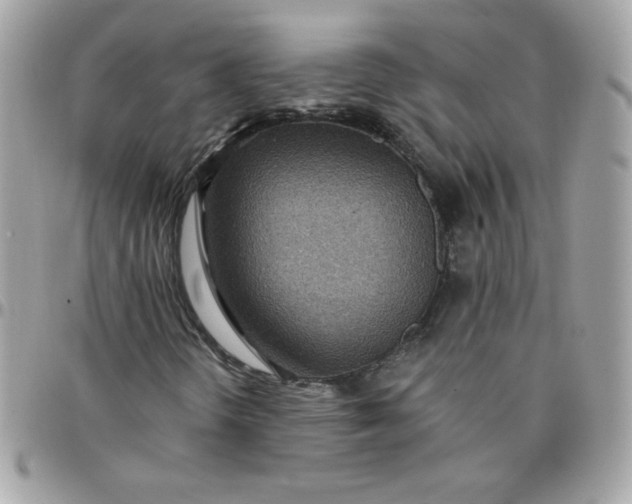 X0000097771298200803211727