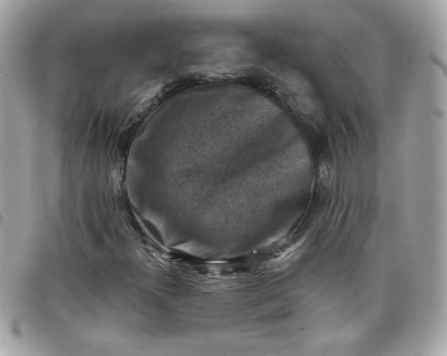 X0000097771300200803211727